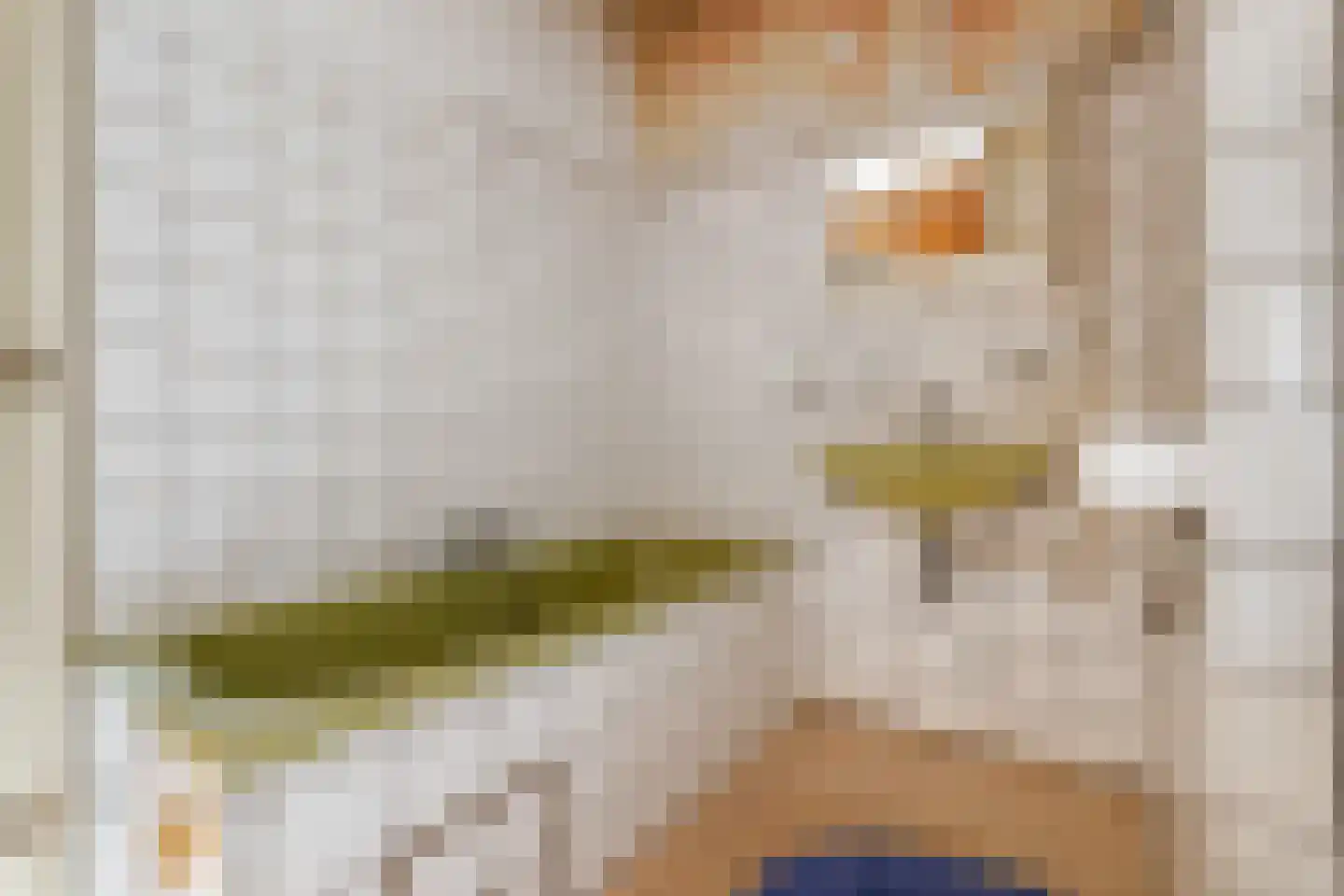 Granadoslaan 138 Rotterdam thumbnail 12