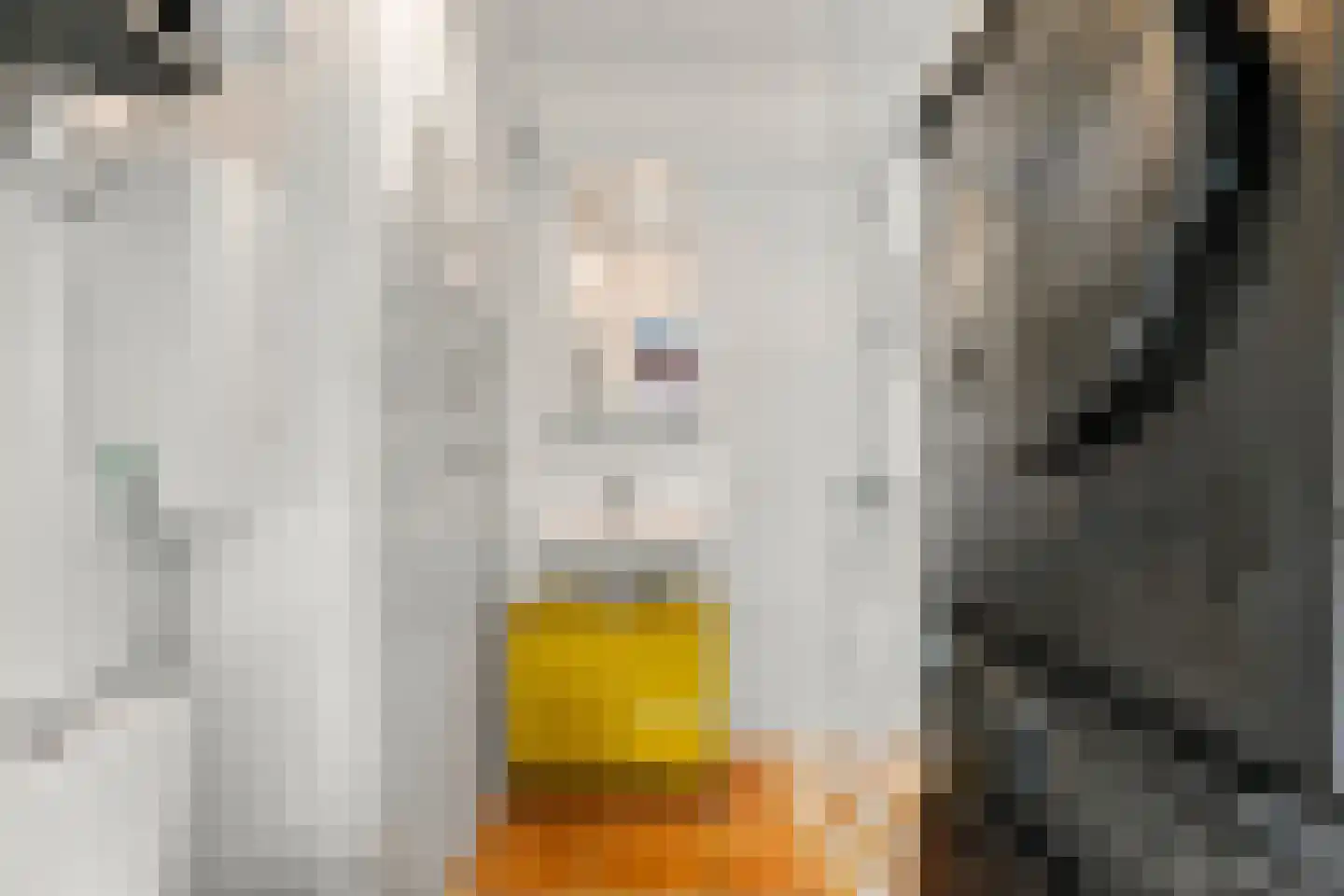 Granadoslaan 146 Rotterdam thumbnail 23