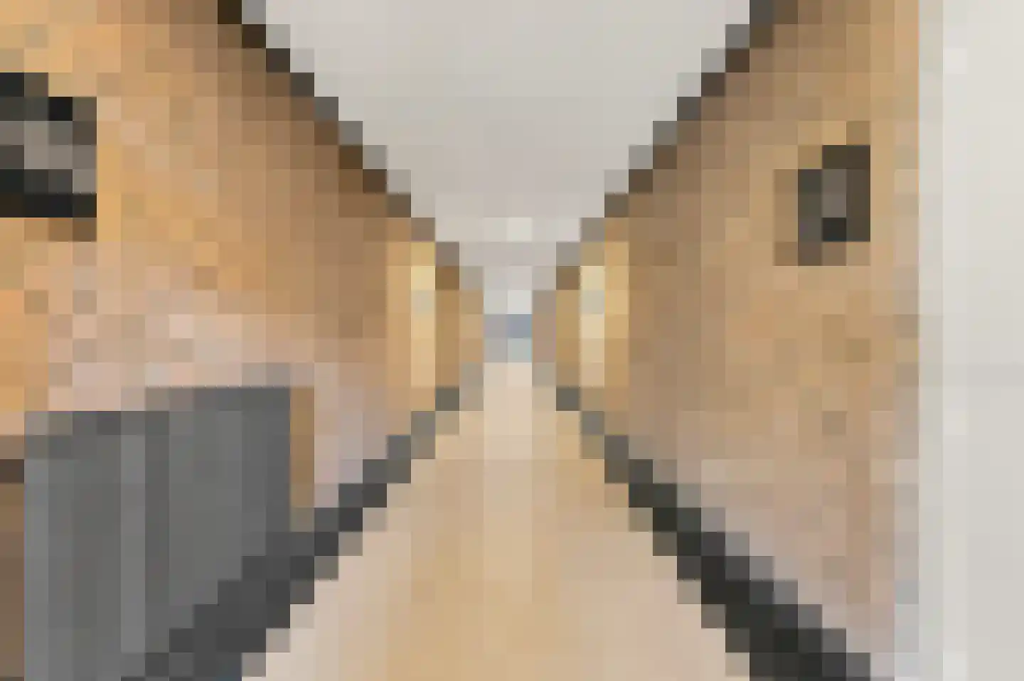Granadoslaan 146 Rotterdam thumbnail 31