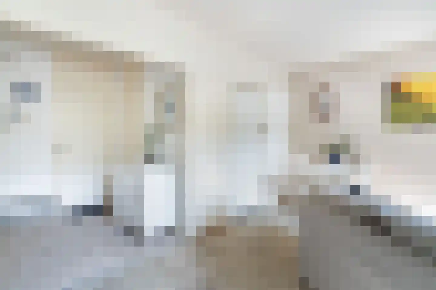 Granadoslaan 18 Rotterdam thumbnail 8