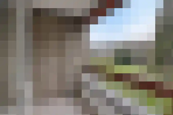 Granadoslaan 34 Rotterdam thumbnail 14
