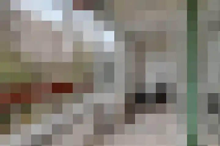 Granadoslaan 34 Rotterdam thumbnail 15