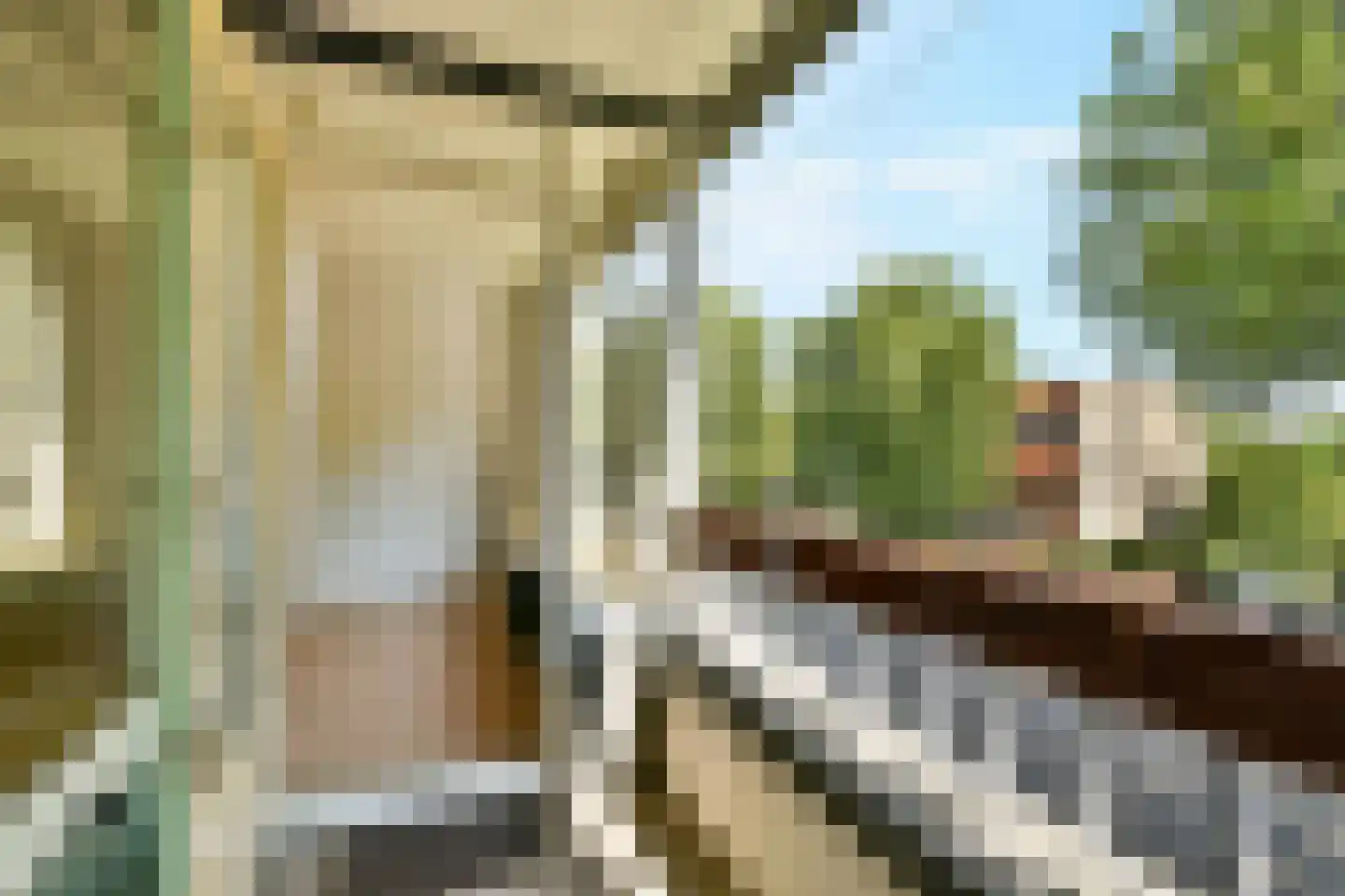 Granadoslaan 46 Rotterdam thumbnail 18