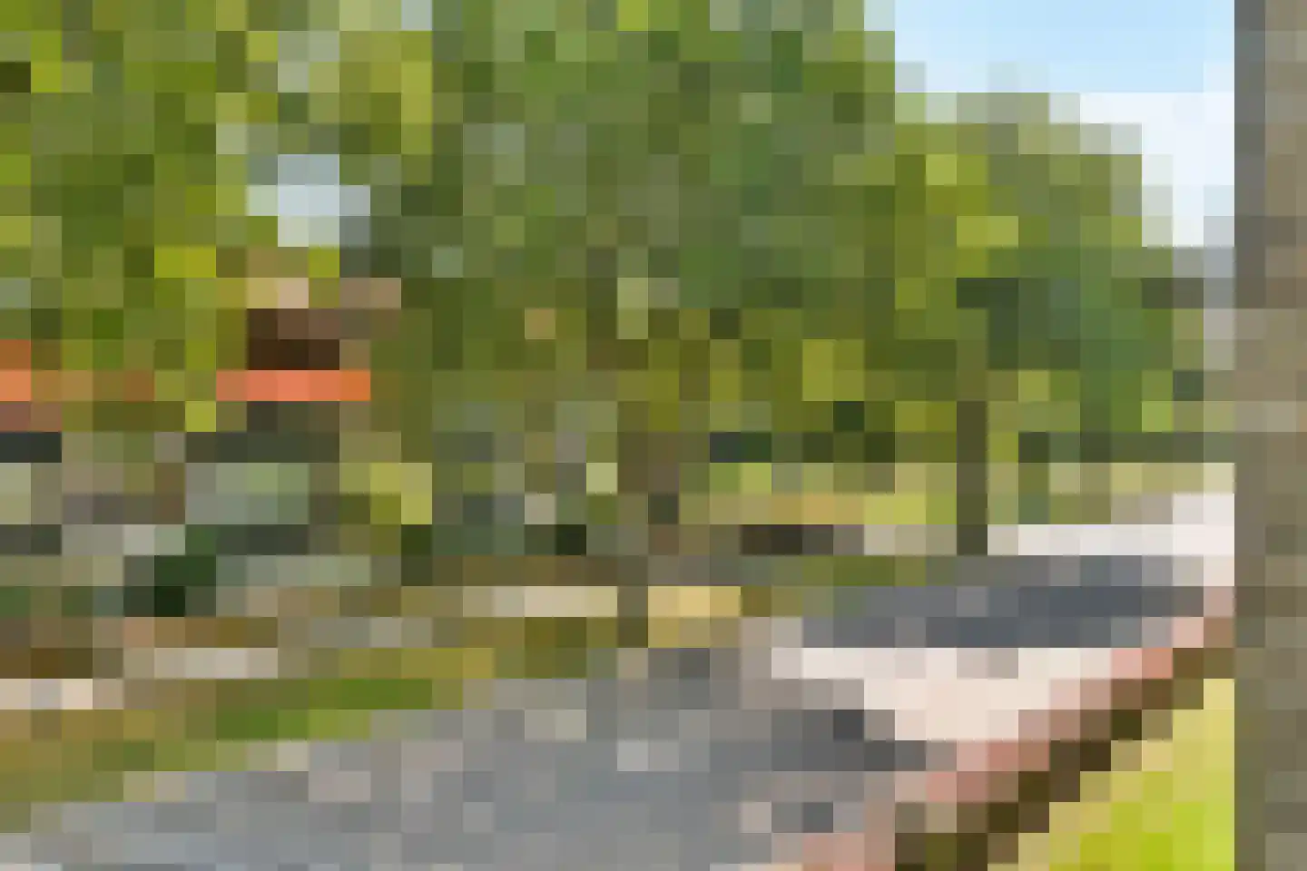 Granadoslaan 46 Rotterdam thumbnail 23
