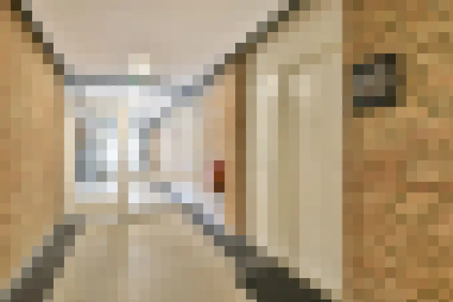 Granadoslaan 46 Rotterdam thumbnail 8