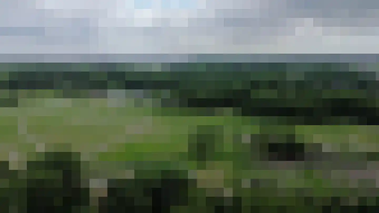 Granadoslaan 54 Rotterdam thumbnail 32