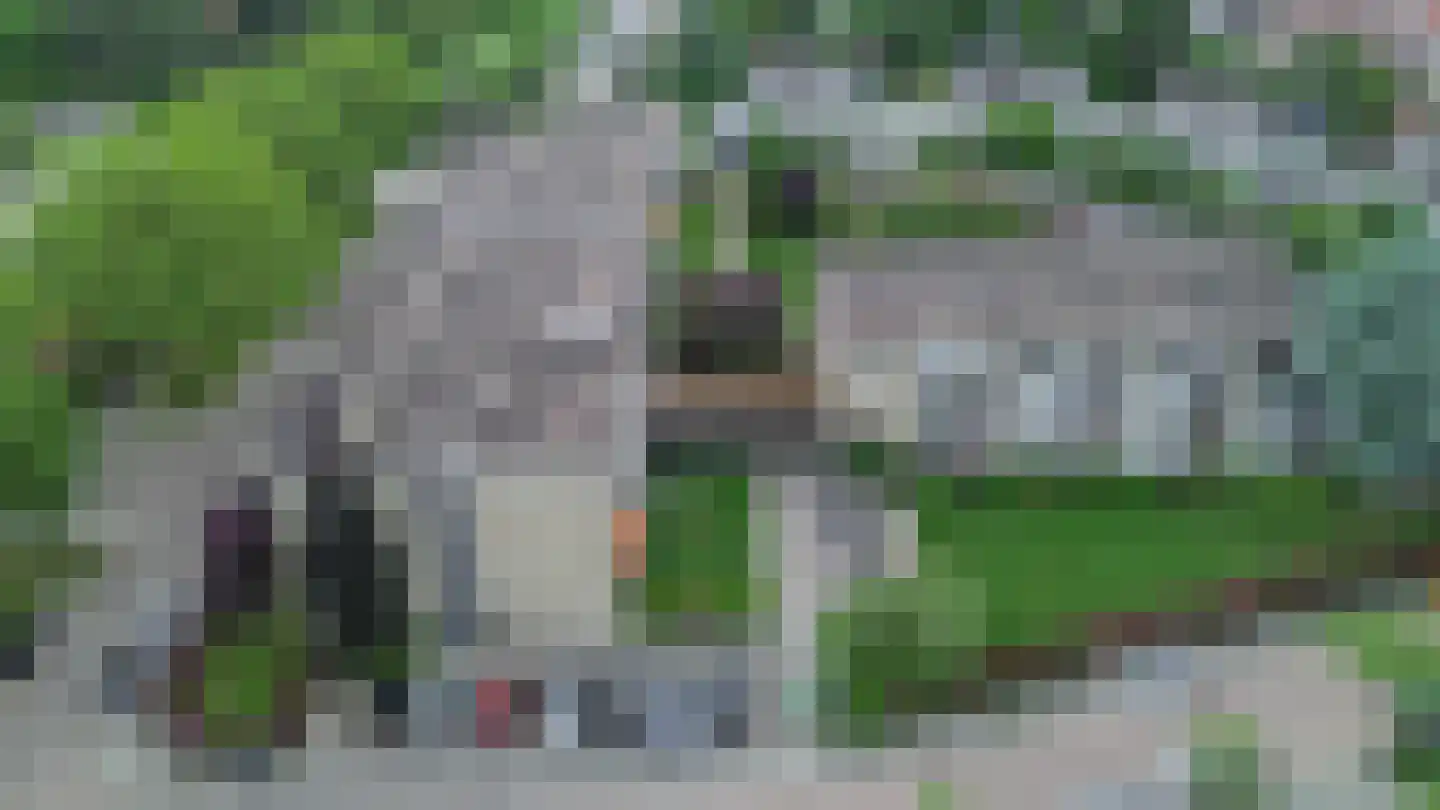 Granadoslaan 54 Rotterdam thumbnail 34