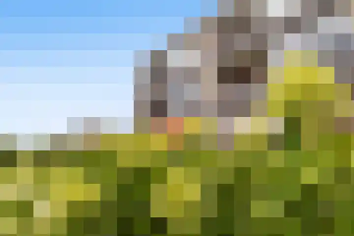 Granadoslaan 76 Rotterdam thumbnail 30