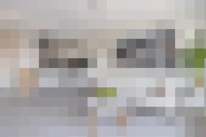 Granadoslaan 82 Rotterdam thumbnail 10