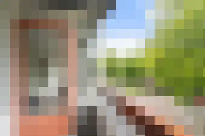 Granadoslaan 86 Rotterdam thumbnail 20