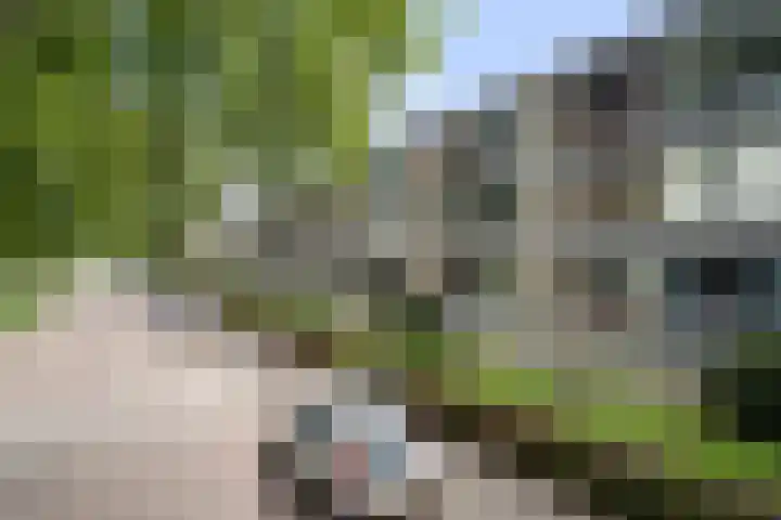Granadoslaan 86 Rotterdam thumbnail 24