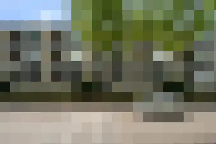 Granadoslaan 86 Rotterdam thumbnail 25