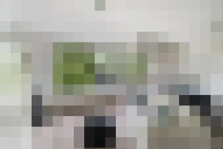 Granadoslaan 86 Rotterdam thumbnail 5