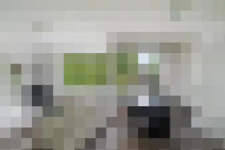 Granadoslaan 86 Rotterdam thumbnail 6