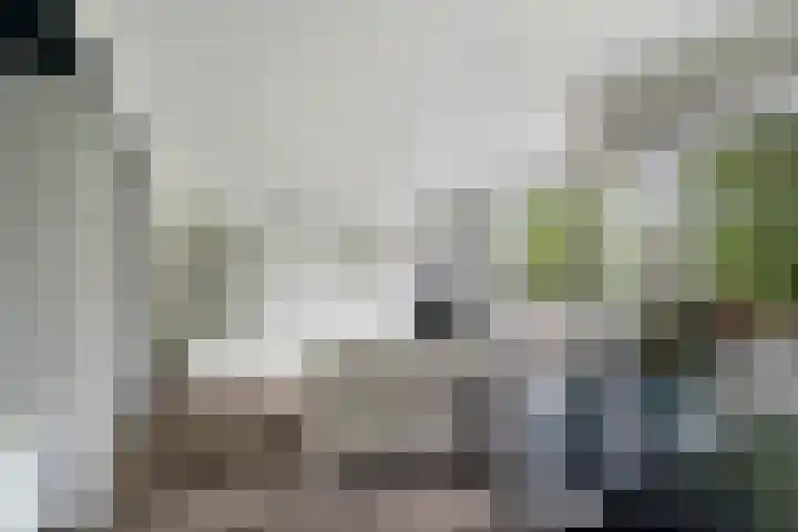 Granadoslaan 86 Rotterdam thumbnail 7