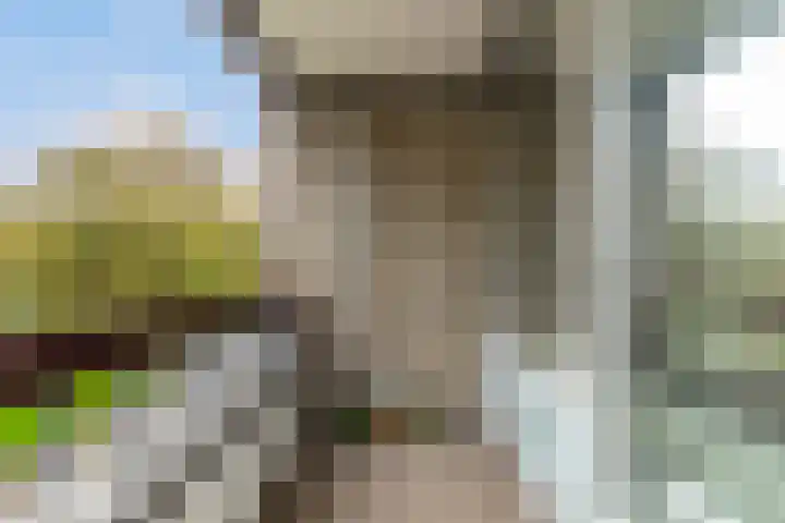 Granadoslaan 90 Rotterdam thumbnail 11