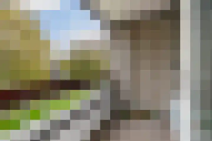 Granadoslaan 90 Rotterdam thumbnail 12