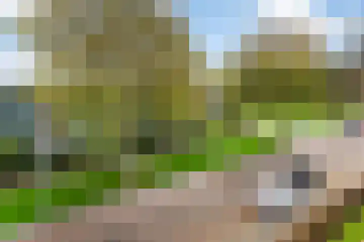 Granadoslaan 90 Rotterdam thumbnail 13