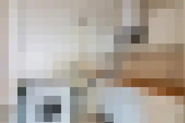 Granadoslaan 90 Rotterdam thumbnail 16