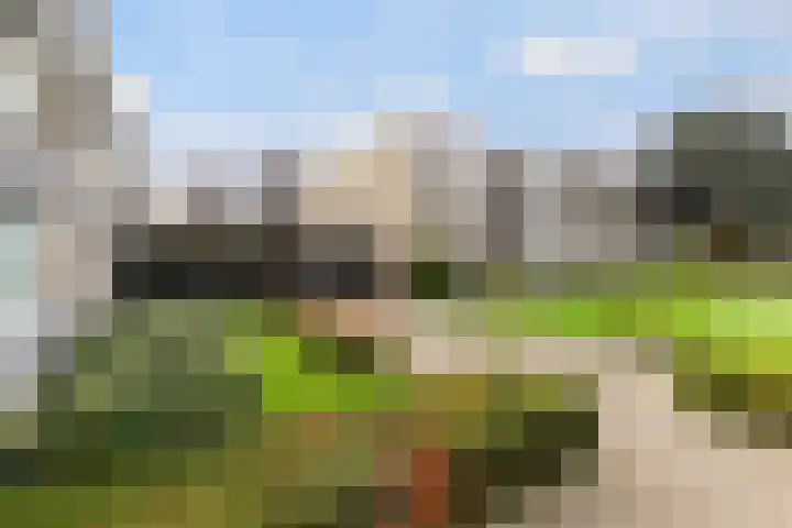 Granadoslaan 90 Rotterdam thumbnail 24