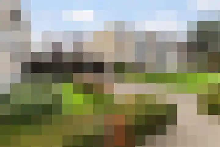 Granadoslaan 90 Rotterdam thumbnail 25