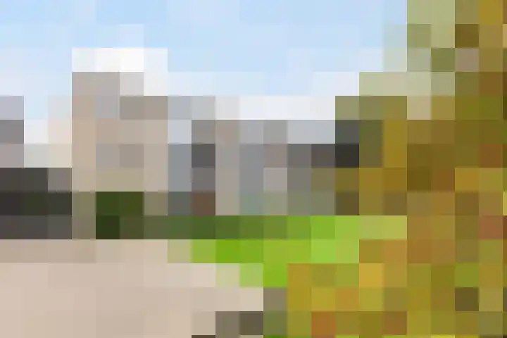 Granadoslaan 90 Rotterdam thumbnail 26