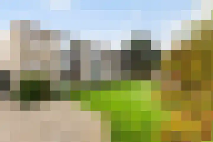 Granadoslaan 90 Rotterdam thumbnail 27