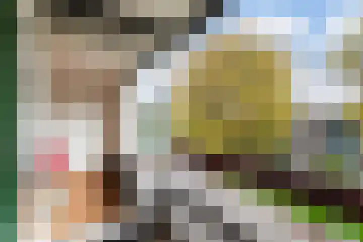 Granadoslaan 90 Rotterdam thumbnail 4