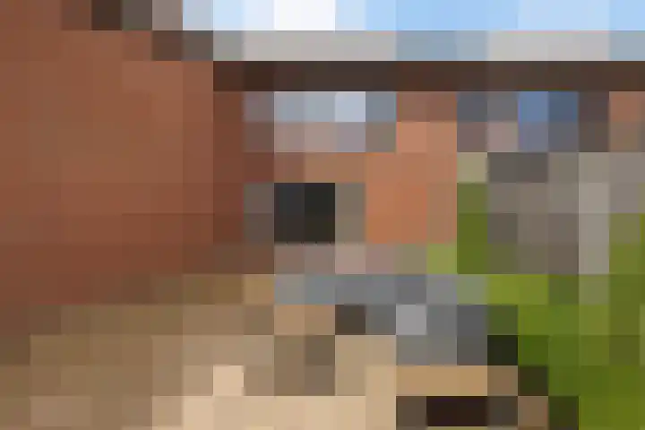 Grand Canal 49 Almelo thumbnail 25