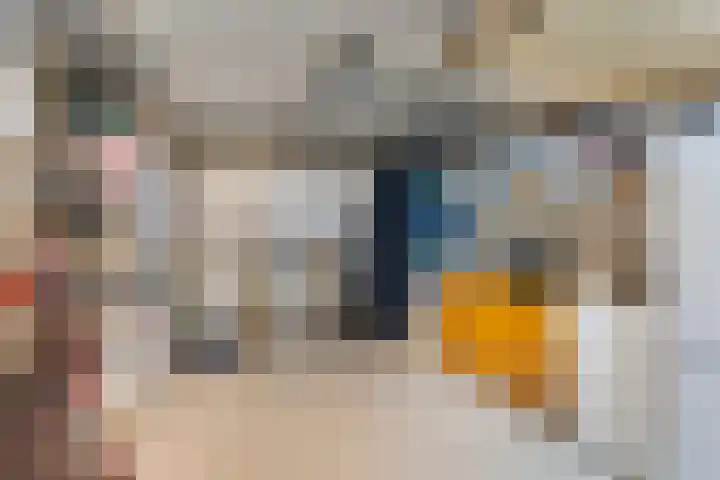 Grand Combin 5 Eindhoven thumbnail 27