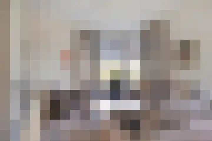 Grand Combin 5 Eindhoven thumbnail 8