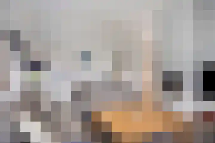 Grand Combin 5 Eindhoven thumbnail 9