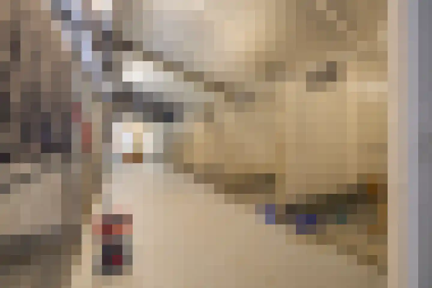 Grândyk 1 Holwert thumbnail 45