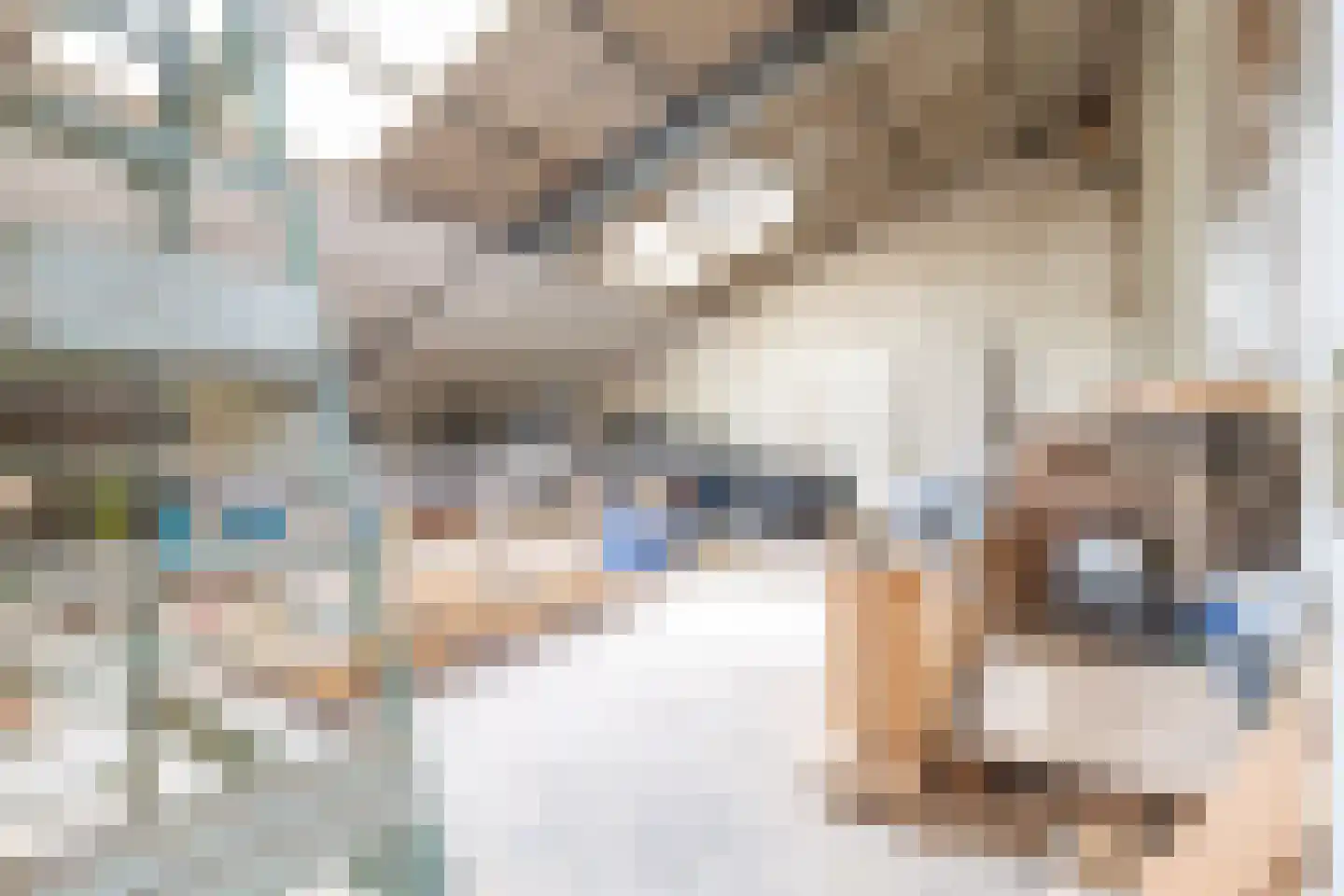 Grândyk 1 Holwert thumbnail 50