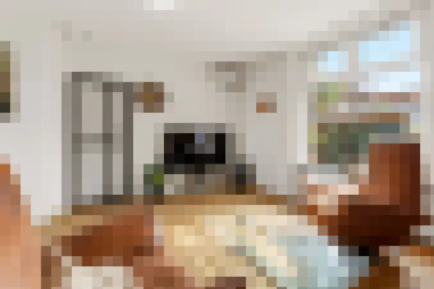 Grangesbergenlaan 15 Tolkamer thumbnail 14
