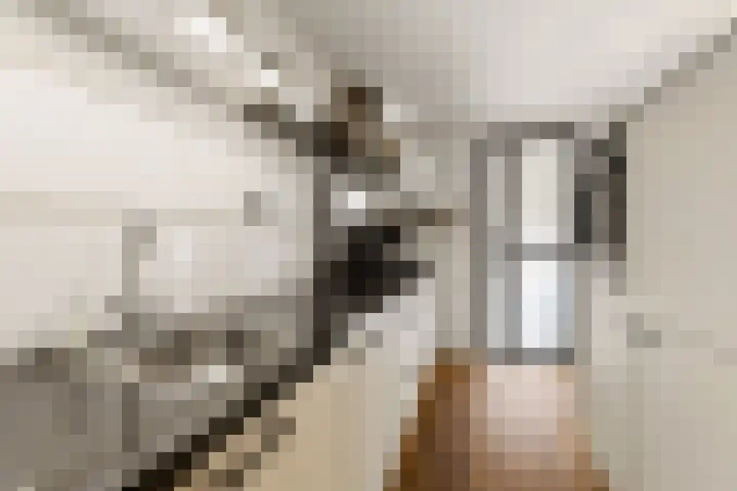 Grangesbergenlaan 15 Tolkamer thumbnail 19