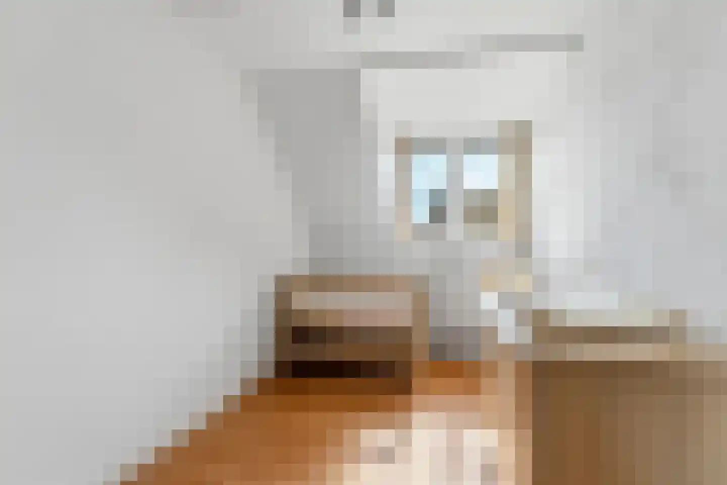 Grangesbergenlaan 15 Tolkamer thumbnail 24