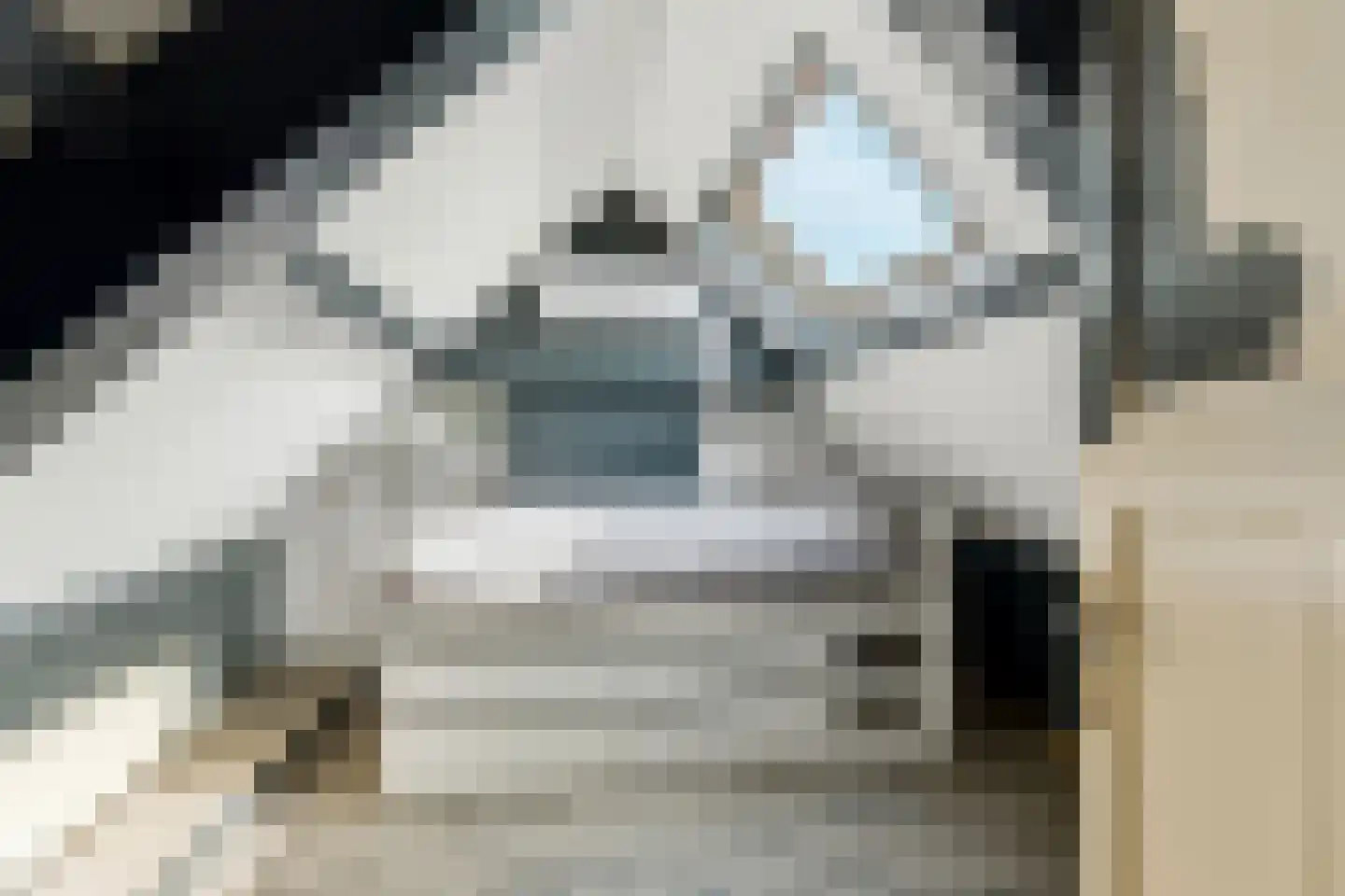 Grangesbergenlaan 15 Tolkamer thumbnail 31