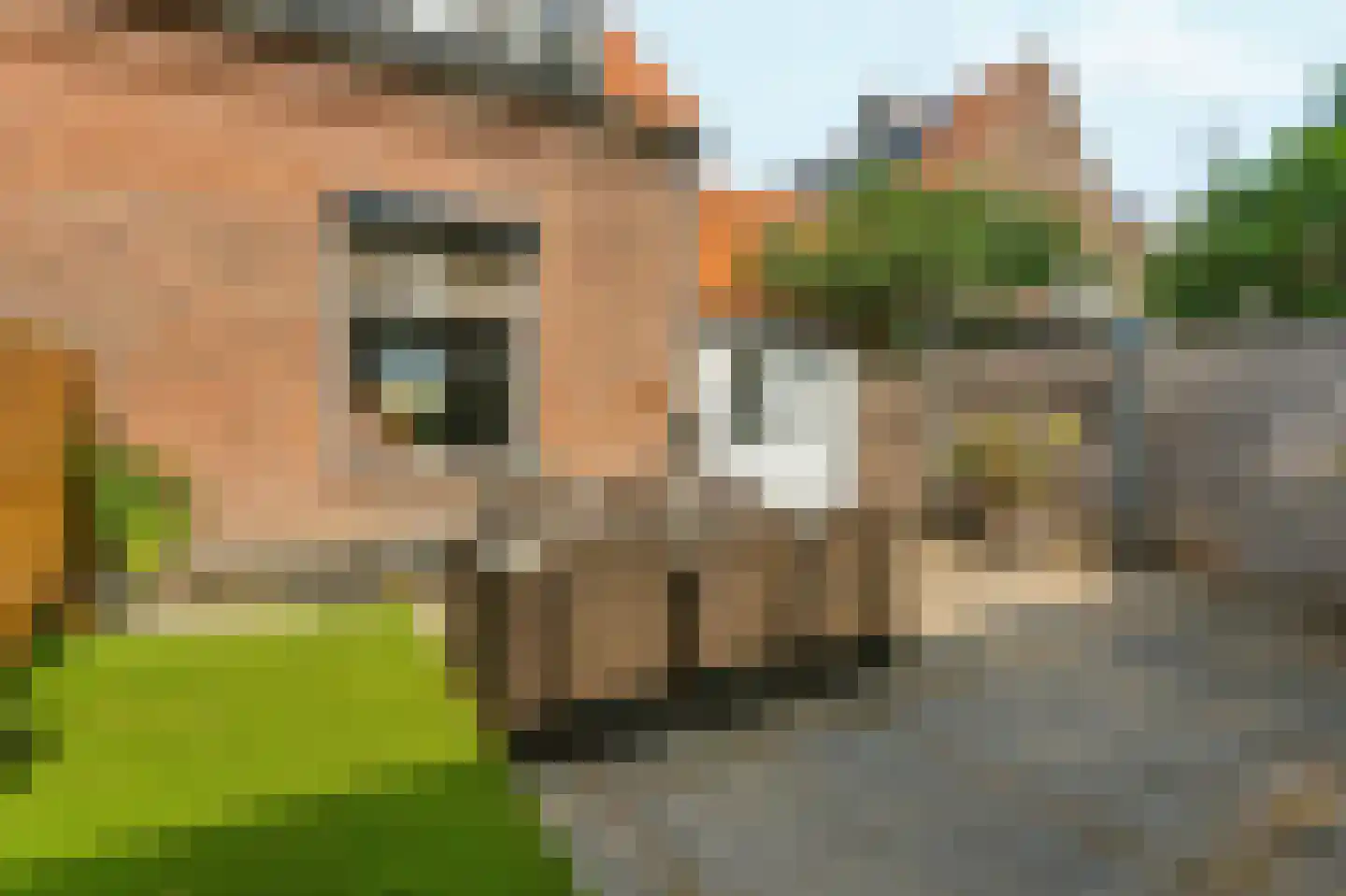 Grangesbergenlaan 15 Tolkamer thumbnail 40