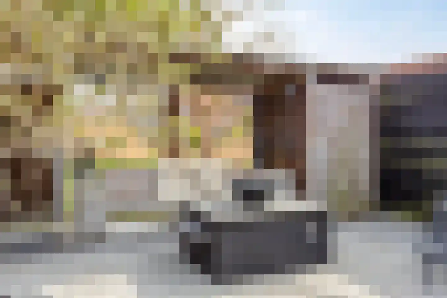 Granida erf 34 Capelle aan den IJssel thumbnail 49