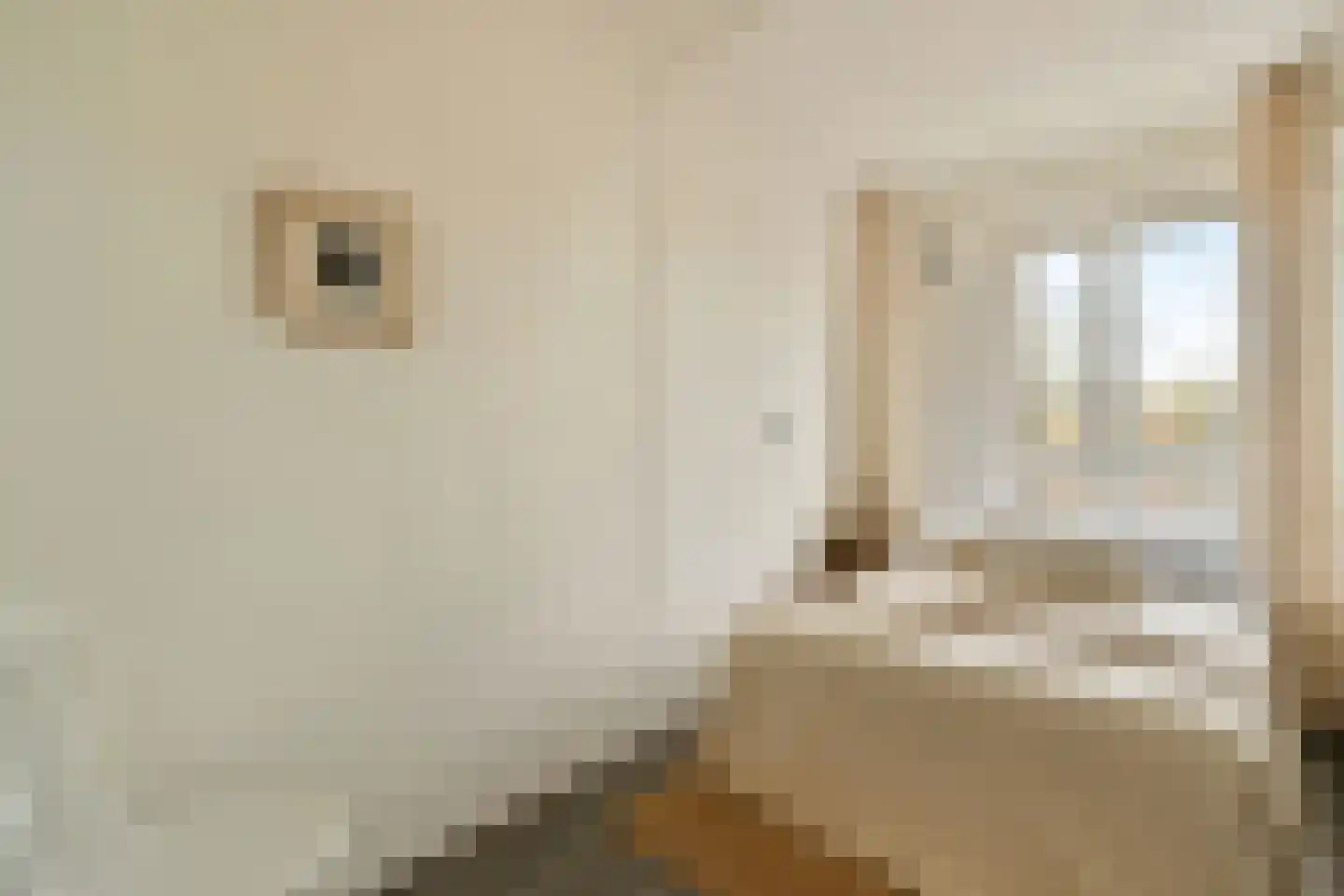 Granidastraat 48 3 Amsterdam thumbnail 17