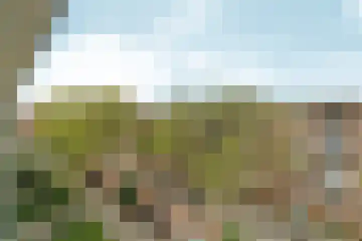 Granidastraat 62 2 Amsterdam thumbnail 18