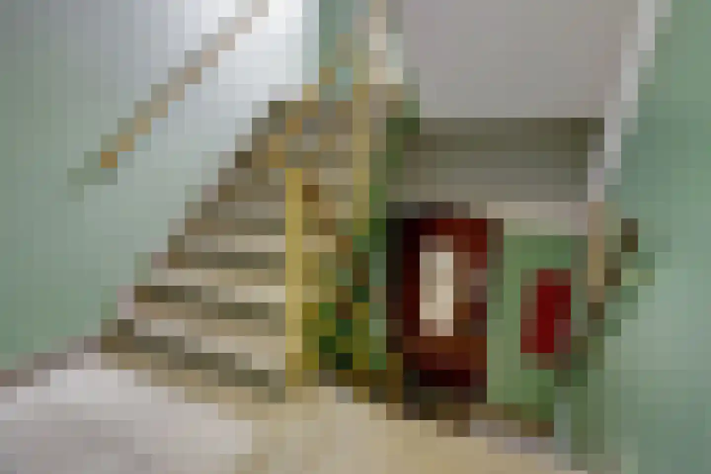 Granidastraat 88 1 Amsterdam thumbnail 10