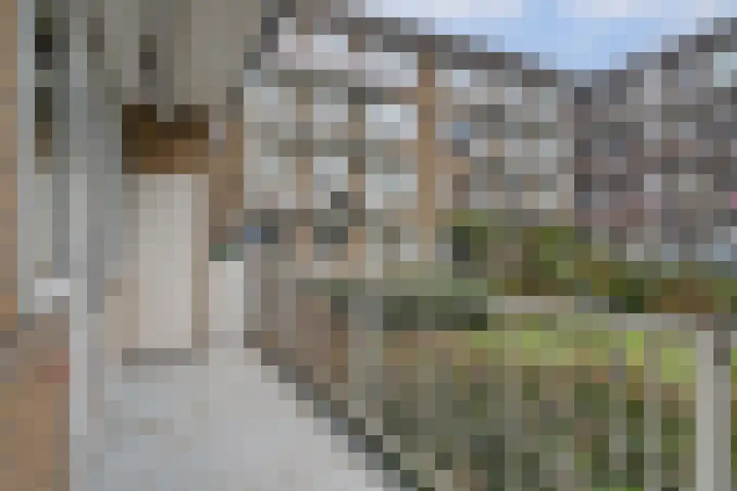 Granidastraat 88 1 Amsterdam thumbnail 35