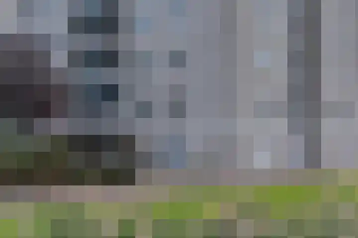 Granietgroen 135 Zoetermeer thumbnail 20