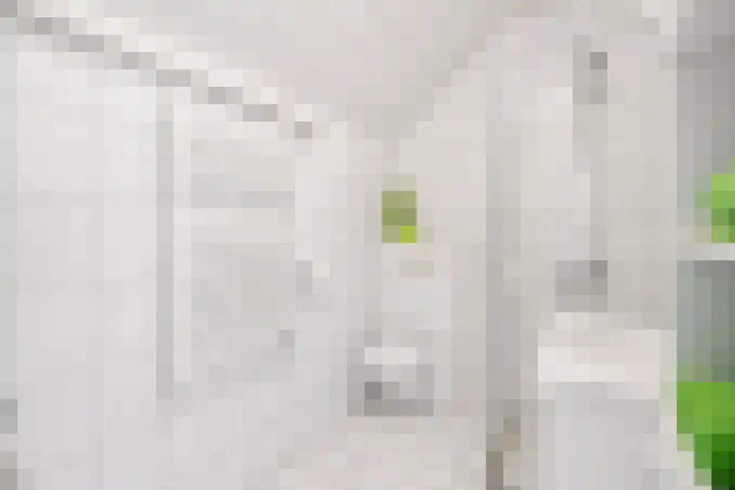 Granietsteen 32 Houten thumbnail 22
