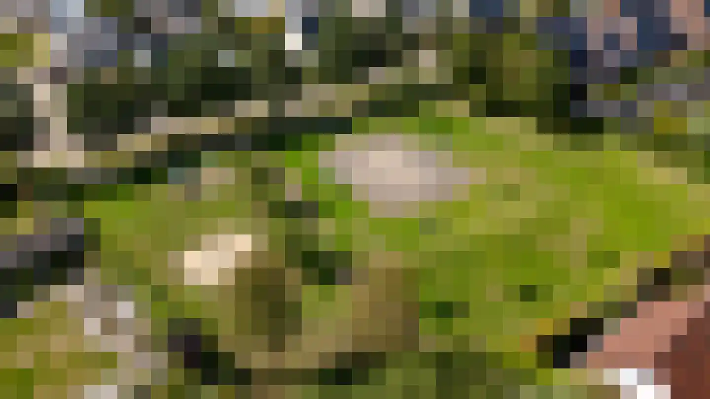 Granietsteen 32 Houten thumbnail 37