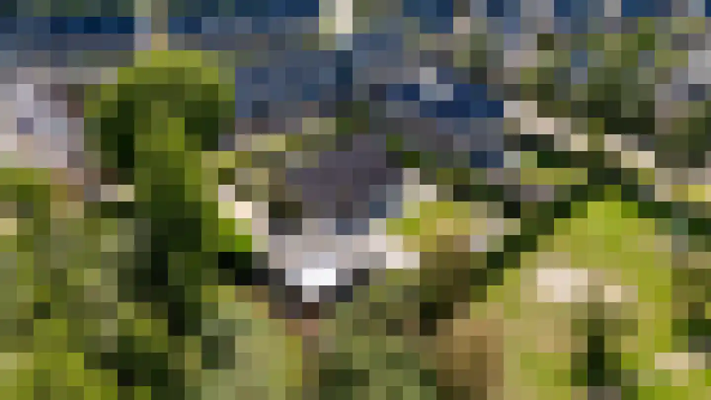 Granietsteen 32 Houten thumbnail 38