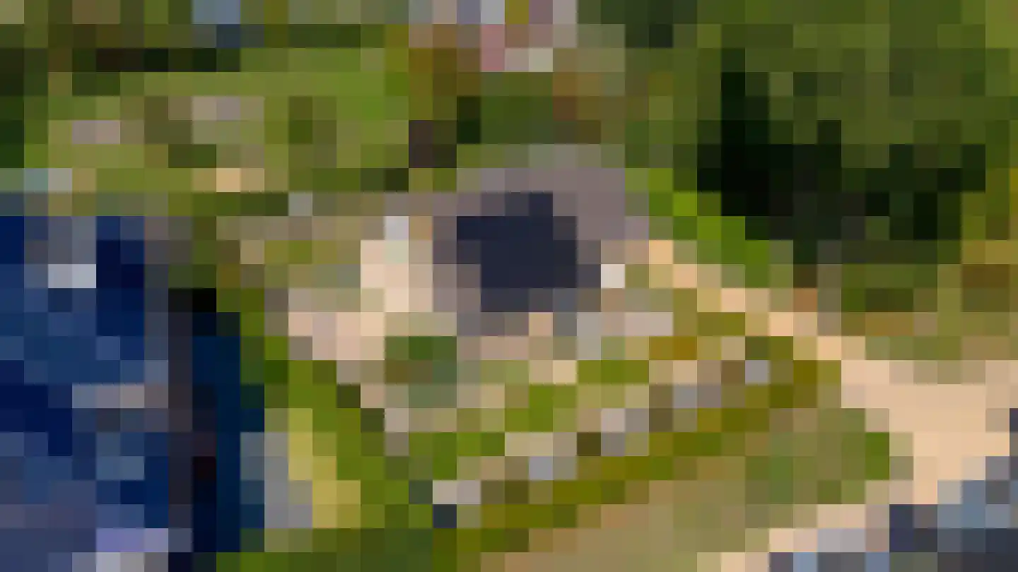 Granietsteen 32 Houten thumbnail 41