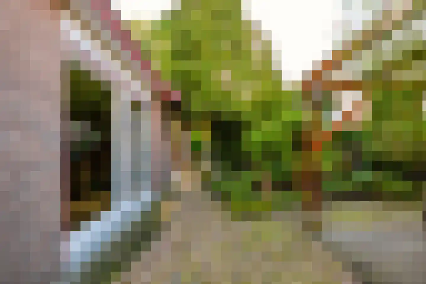 Granietsteen 40 Houten thumbnail 47